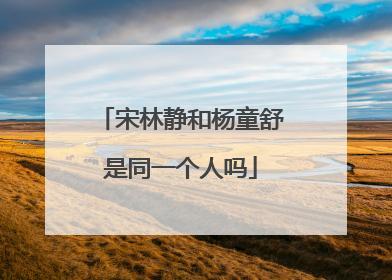 宋林静和杨童舒是同一个人吗