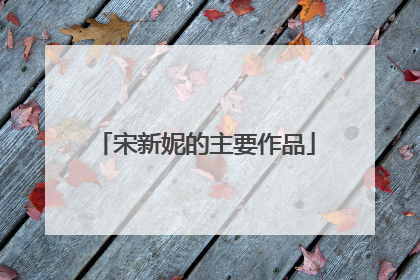 宋新妮的主要作品