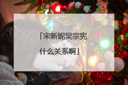 宋新妮吴宗宪什么关系啊