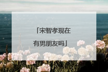 宋智孝现在有男朋友吗