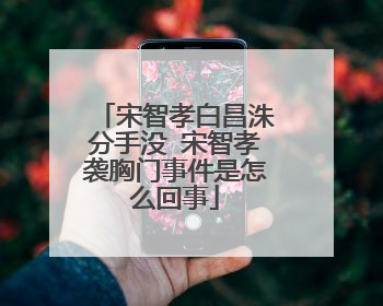 宋智孝白昌洙分手没 宋智孝袭胸门事件是怎么回事