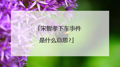 宋智孝下车事件是什么意思?