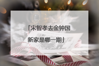 宋智孝去金钟国新家是哪一期