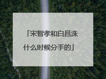 宋智孝和白昌洙什么时候分手的