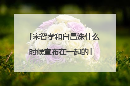 宋智孝和白昌洙什么时候宣布在一起的