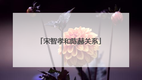 宋智孝和陈赫关系