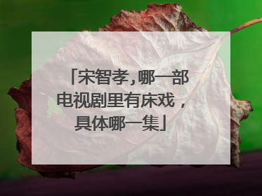 宋智孝,哪一部电视剧里有床戏，具体哪一集
