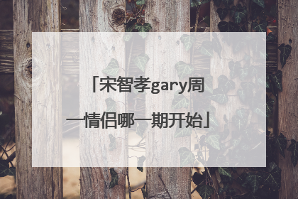 宋智孝gary周一情侣哪一期开始