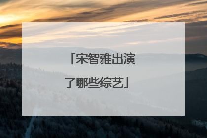 宋智雅出演了哪些综艺