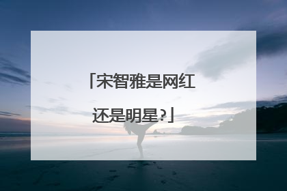 宋智雅是网红还是明星?
