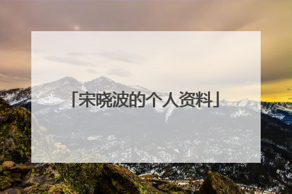 宋晓波的个人资料