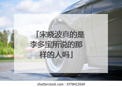 宋晓波真的是李多宝所说的那样的人吗