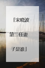 宋晓波第二任妻子是谁