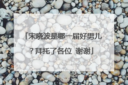 宋晓波是哪一届好男儿?拜托了各位 谢谢