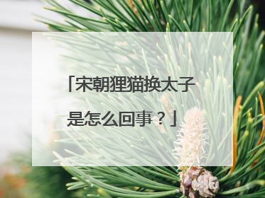 宋朝狸猫换太子是怎么回事？