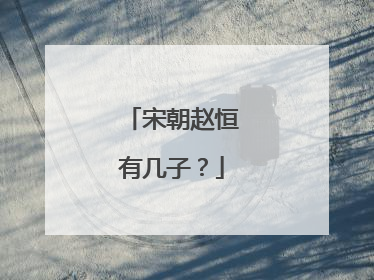 宋朝赵恒有几子?