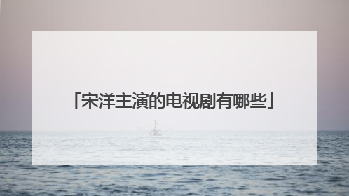 宋洋主演的电视剧有哪些