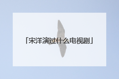 宋洋演过什么电视剧