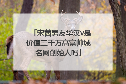 宋茜男友华汉V是价值三千万高富帅域名网创始人吗
