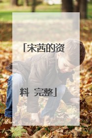 宋茜的资料 完整