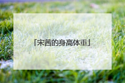 宋茜的身高体重