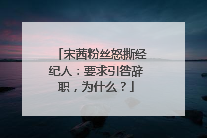 宋茜粉丝怒撕经纪人:要求引咎辞职,为什么?