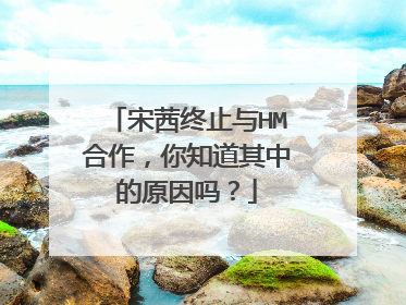 宋茜终止与HM合作，你知道其中的原因吗？