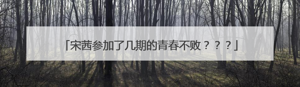 宋茜参加了几期的青春不败???