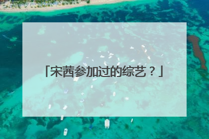 宋茜参加过的综艺?