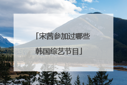 宋茜参加过哪些韩国综艺节目