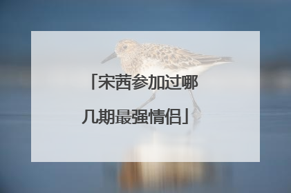 宋茜参加过哪几期最强情侣