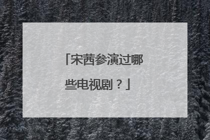 宋茜参演过哪些电视剧？