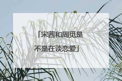 宋茜和周觅是不是在谈恋爱