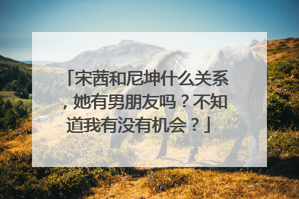 宋茜和尼坤什么关系，她有男朋友吗？不知道我有没有机会？