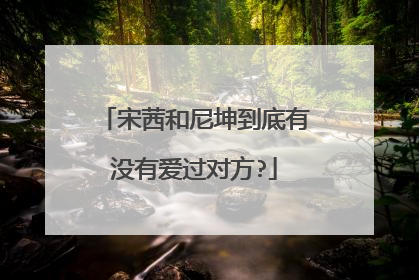 宋茜和尼坤到底有没有爱过对方?