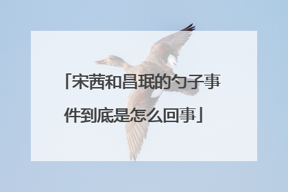 宋茜和昌珉的勺子事件到底是怎么回事