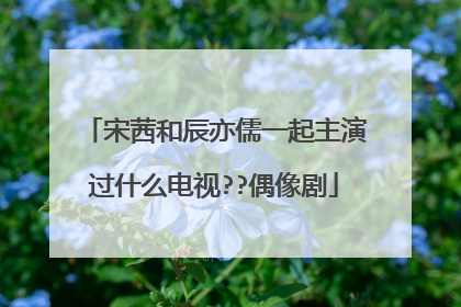 宋茜和辰亦儒一起主演过什么电视??偶像剧