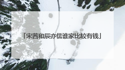 宋茜和辰亦儒谁家比较有钱