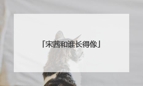 宋茜和谁长得像