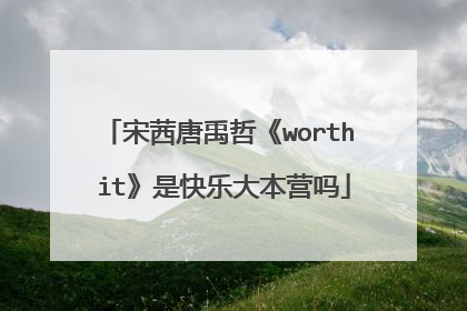 宋茜唐禹哲《worth it》是快乐大本营吗
