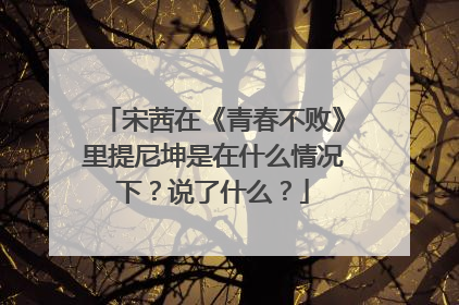 宋茜在《青春不败》里提尼坤是在什么情况下？说了什么？