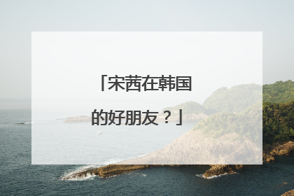 宋茜在韩国的好朋友？