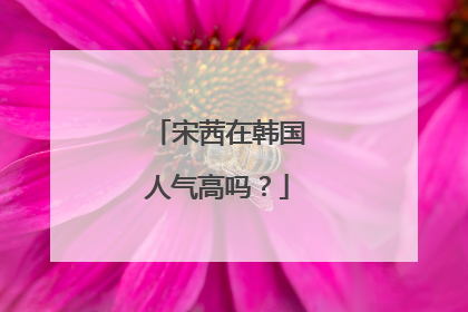 宋茜在韩国人气高吗？