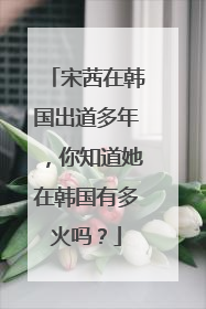 宋茜在韩国出道多年，你知道她在韩国有多火吗？