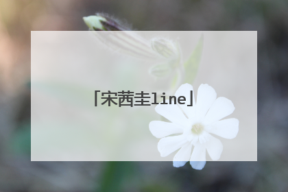 宋茜圭line