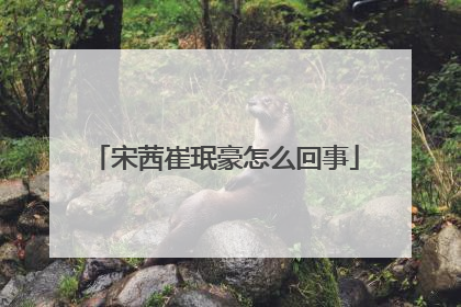 宋茜崔珉豪怎么回事