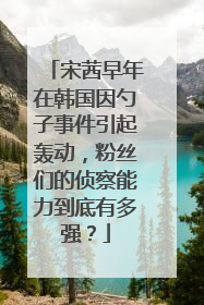 宋茜早年在韩国因勺子事件引起轰动，粉丝们的侦察能力到底有多强？