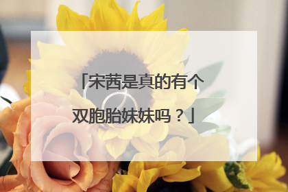 宋茜是真的有个双胞胎妹妹吗?