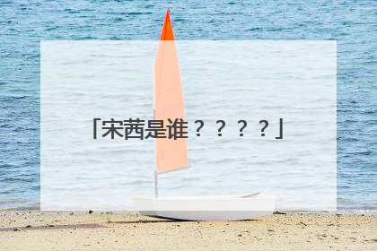 宋茜是谁？？？？