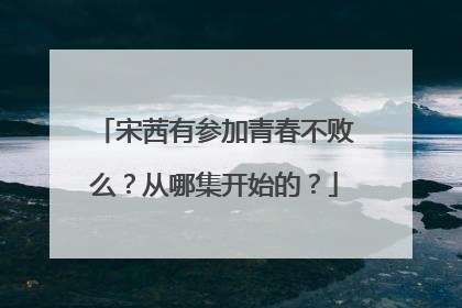 宋茜有参加青春不败么?从哪集开始的?